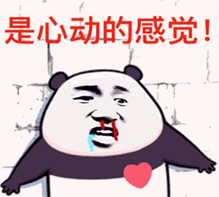 XinDong.xyz